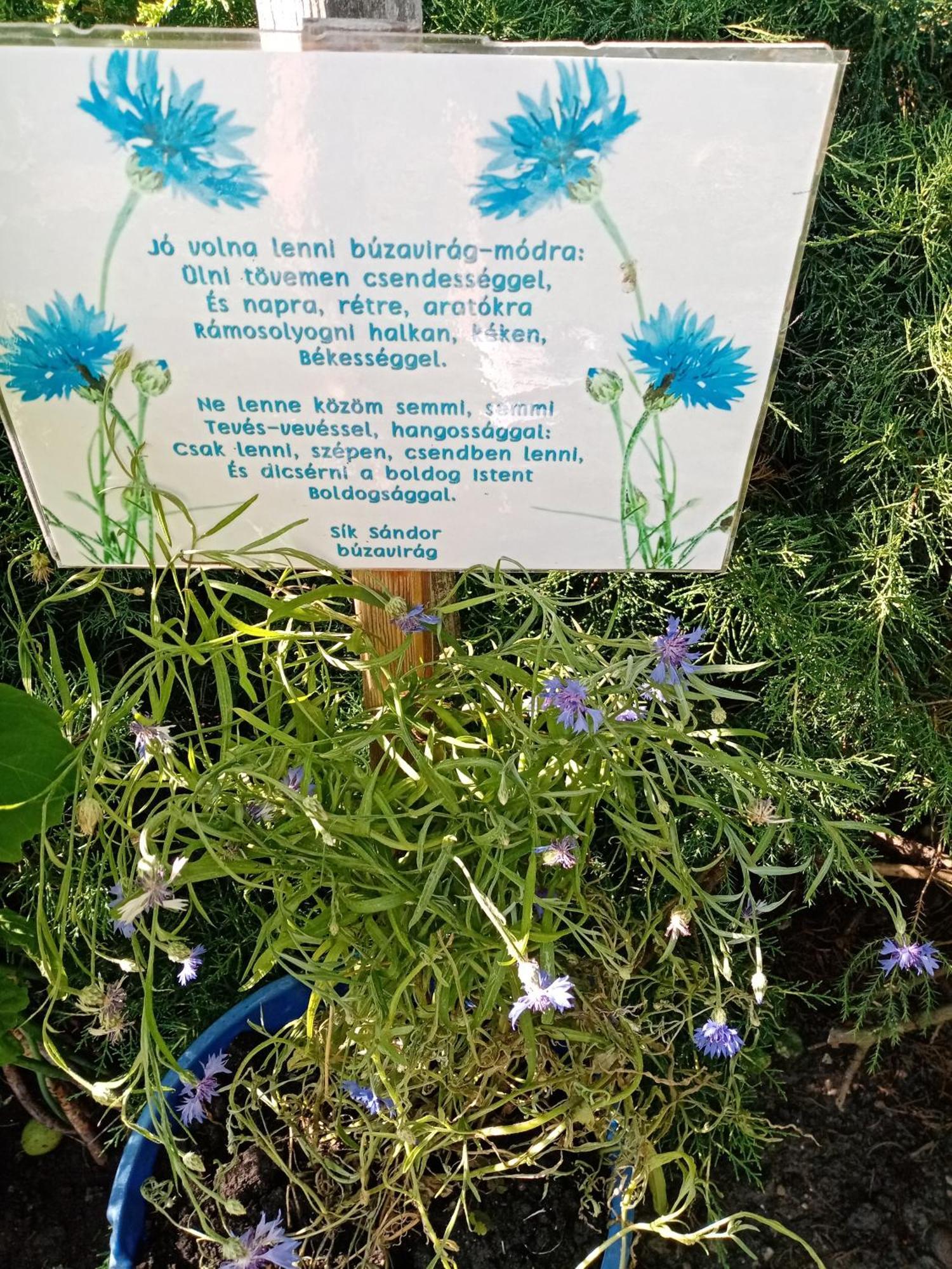 Margaret Apartman Egerszalók Εξωτερικό φωτογραφία