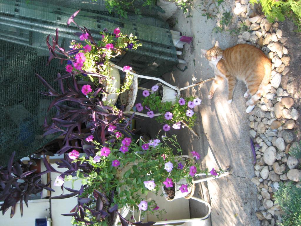 Margaret Apartman Egerszalók Εξωτερικό φωτογραφία